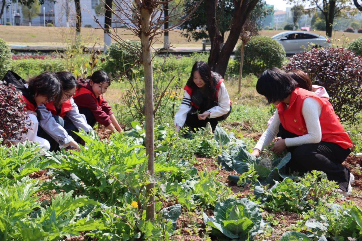 yl8cc永利官网